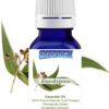 Eucalyptus Essential Oil