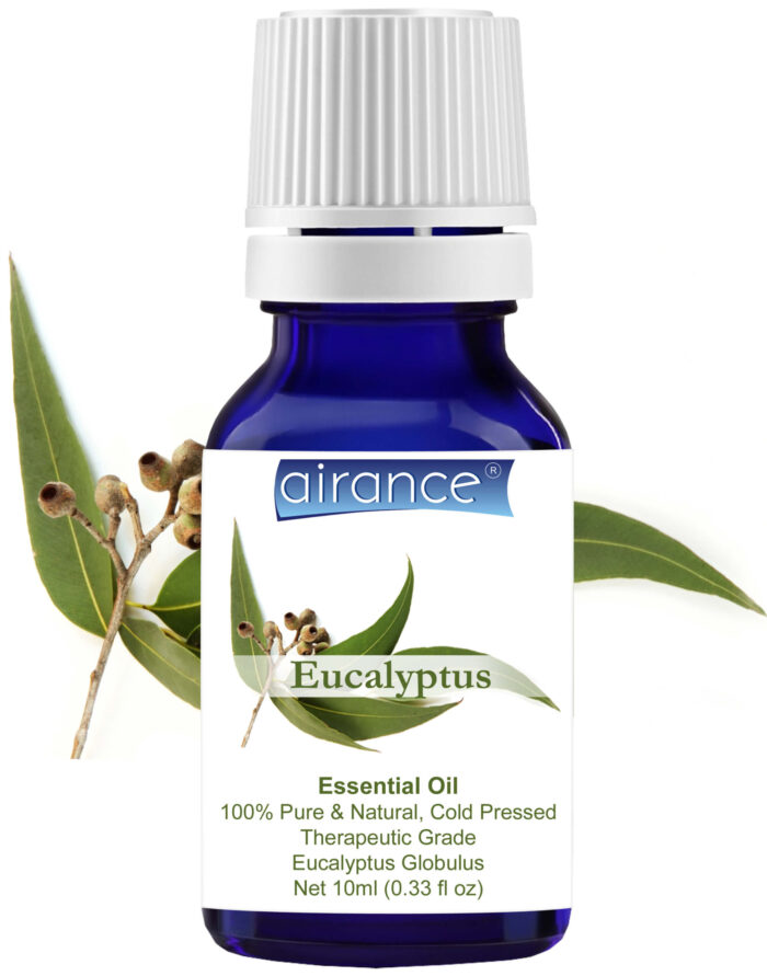 Eucalyptus Essential Oil