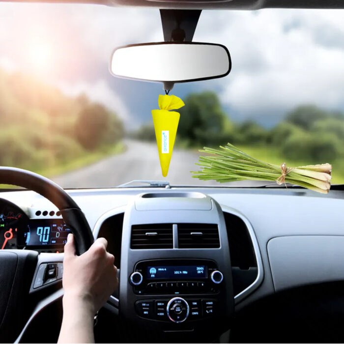 Alternative view of Camphor Cone - Lemon Grass
